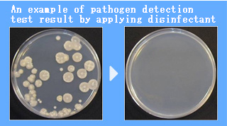 消毒液の塗布による病原体の検出試験結果一例